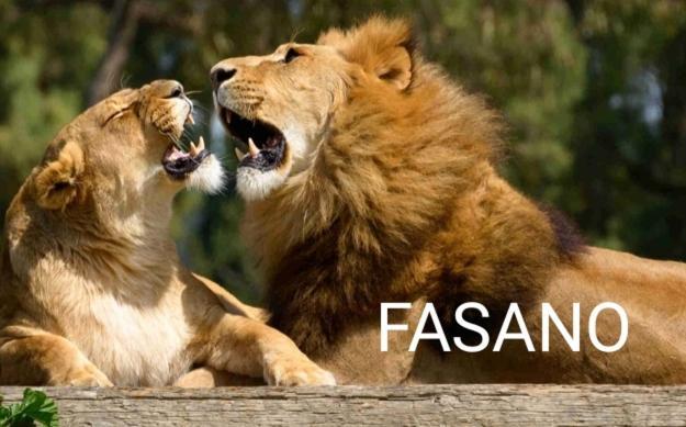 فيلا Casa La Noria مولا دي باري المظهر الخارجي الصورة